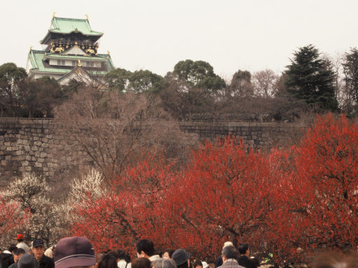 Osaka Castle